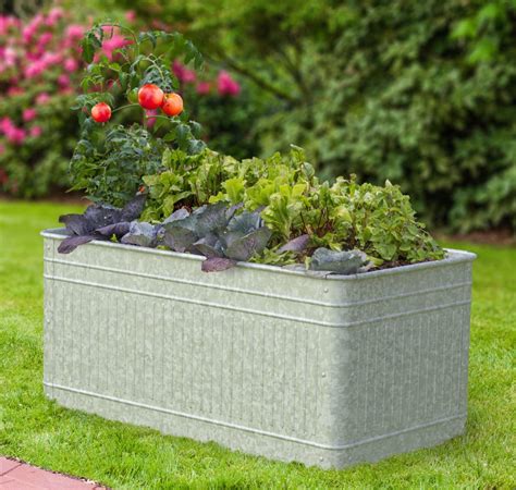 large galvanized planters and containers